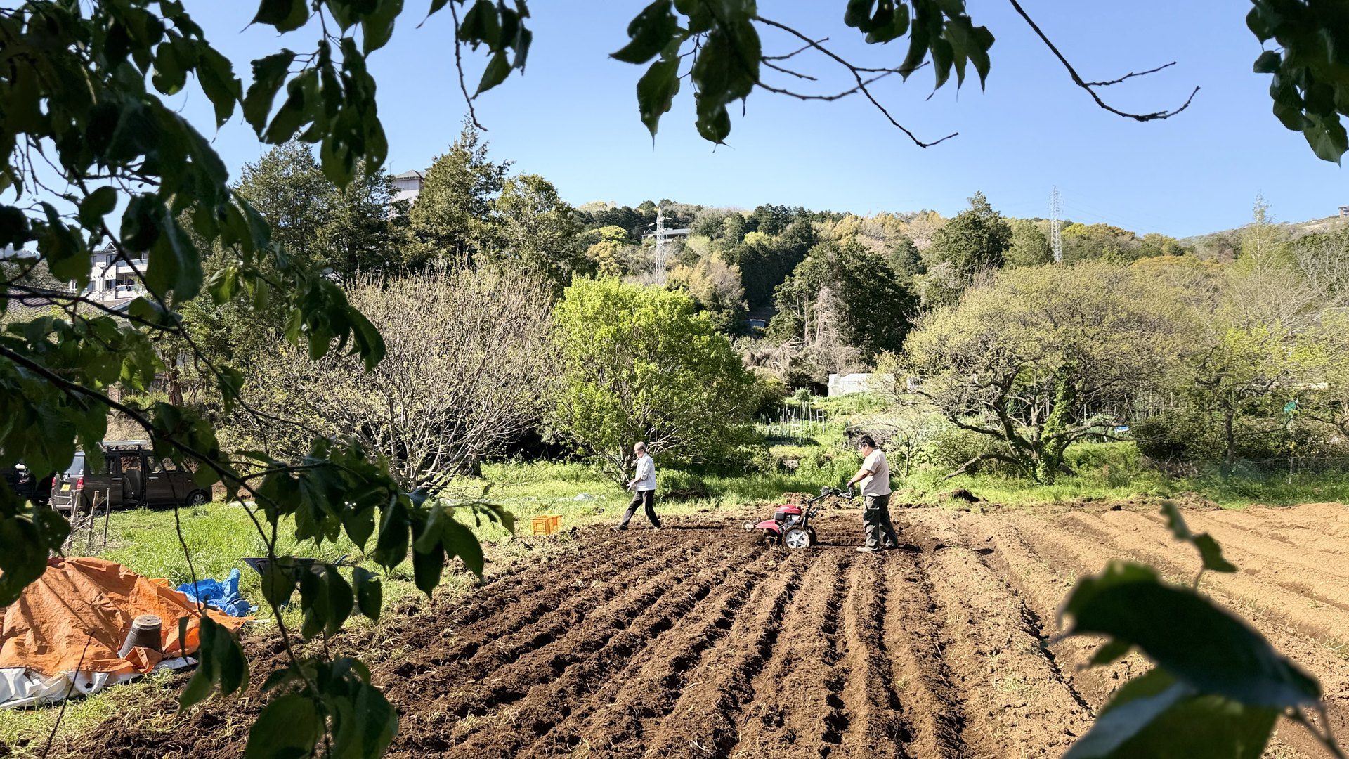 Two people preparing parallel planting rows in a cultivated field bordered by trees